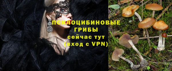 PSILOCYBIN Покровск
